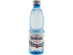 Apa Plata,Borsec 0.5 L