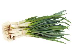 Ceapa verde legatura