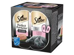 Sheba Perfect Portions hrana umeda pentru pisici adulte, cu somon in bucata 6 x 37,5 g