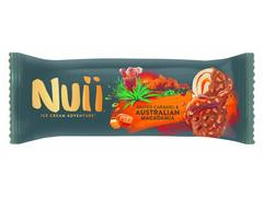 Inghetata cu caramel sarat Nuii 90ml