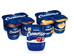 Danone Mix cremosso diverse sortimente 125 g