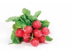 W Ridichi Roz Romania Per Legatura