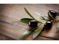 MASLINE NATURALE YUNUS GALEATA 1KG