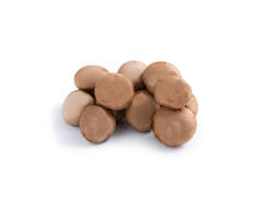 Ciuperci champignon brune caserola 500g