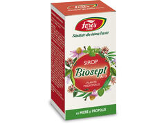 BIOSEPT-SIR.MIERE+PROP 100ml,A13