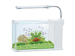 Set acvariu alb si lampa led 6 L 34.5 X 12 X 31.5 cm