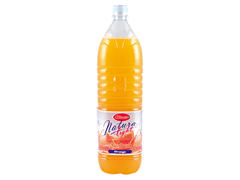 Giusto natura suc portocale light 2L