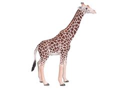 Figurina Mojo, Girafa Male