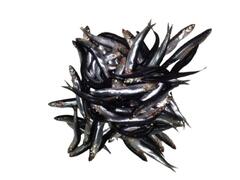 Hamsie proaspata per 100g