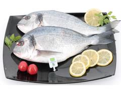 Dorada bio 6-800 g