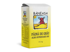 FAINA 000 2 KG BANEASA