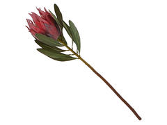 Floare artificiala LOTUS H.63 rosu