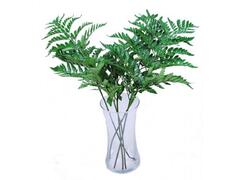 Frunze pentru buchet