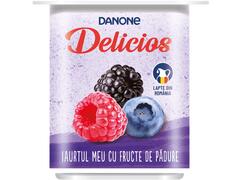 Iaurt Delicios fructe de padure 125g Danone