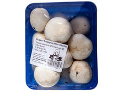 Ciuperci champignon casoleta 250 g
