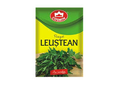 LEUSTEAN COSMIN 6G