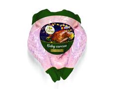 Carcasa Curcan Carrefour Extra