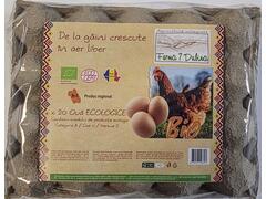 20 Oua Ecologice Marime S Ferma7Dubina