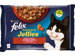 Felix Sensations Selectie Rustica hrana umeda pentru pisici, 4x100g