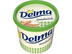 Delma Sandvis Grasime vegetala tartinabila 900g