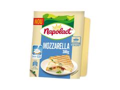 Mozzarella Bloc 300g Napolact