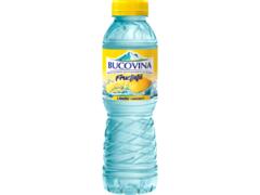 Bucovina Apa Fructata Lamaie 0.5 L