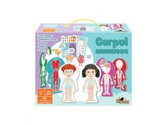 Puzzle educativ Noriel, Corpul omenesc