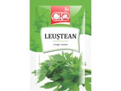 CIO LEUSTEAN 6GR