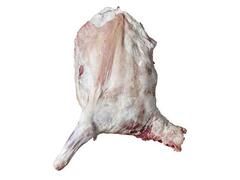 Sfert Anterior De Ied Food Nova