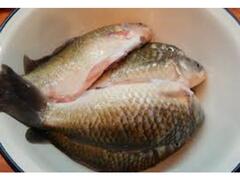 Caras mic eviscerat per bucata