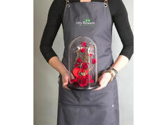 Cupola Decorativa "Eternal Love"