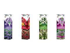 Arbusti ornamentali FLORE SI PARFUM