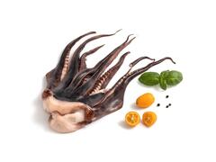 Tentacule de calamar per kg