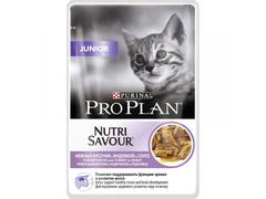 ProPlan Cat Kitten, Curcan 85g