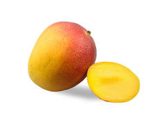 MANGO TREE RIPE