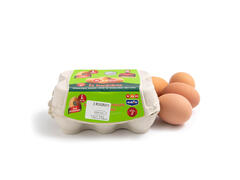 Oua L*6 caserola carton Rikado