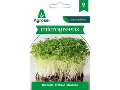 Broccoli - Microgreens