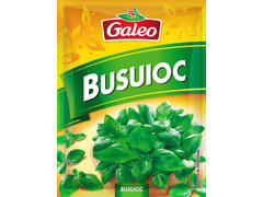 Busuioc Galeo 10G