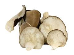 Ciuperci pleurotus 500 g