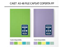 Caiet A5 48 file dictando