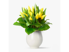 Buchet 15 lalele galbene
