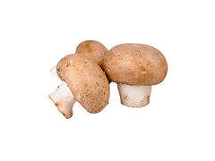 CIUPERCI PROASPETE CALITATEA I