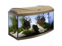 Acvariu Diversa 80 Curb Fag 80x35x40 Cm 112 L