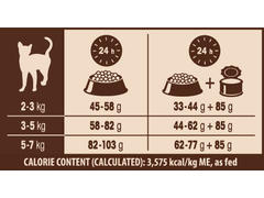 Hrana uscata pentru pisici Wellness Core Dry cu curcan si pui 300 g