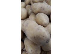 CARTOFI ALBI IMPORT
