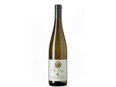 Abbazia Di Novacella- Pinot G