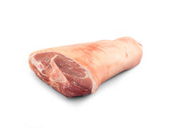 CIOLAN POSTERIOR TFM