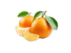 CLEMENTINE CALITATEA. I