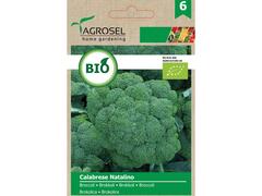 Broccoli Calabrese Natalino ECO