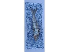 Copanex Chefal intreg kg